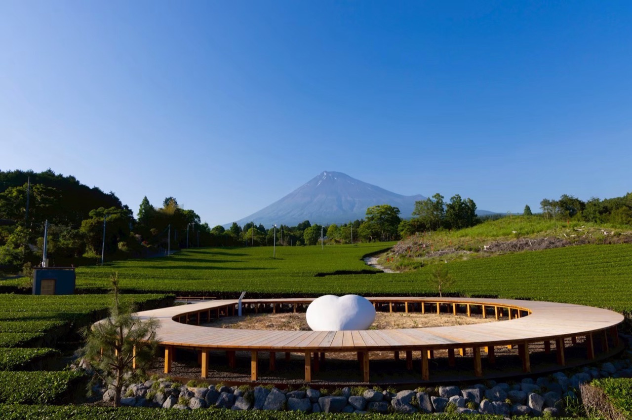 Mt. Fuji rising beyond rows of green tea, seen from a café's wooden terrace in the tea fields