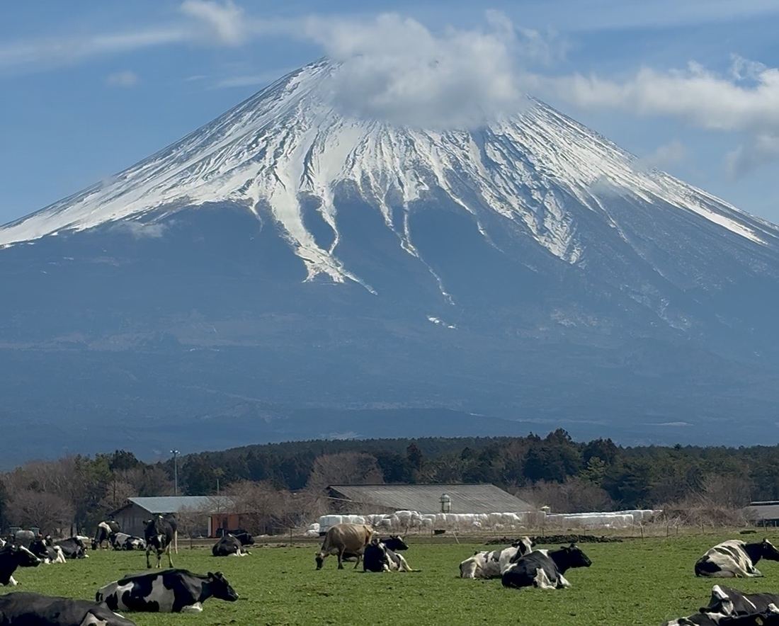 Plateau view of Mt. Fuji