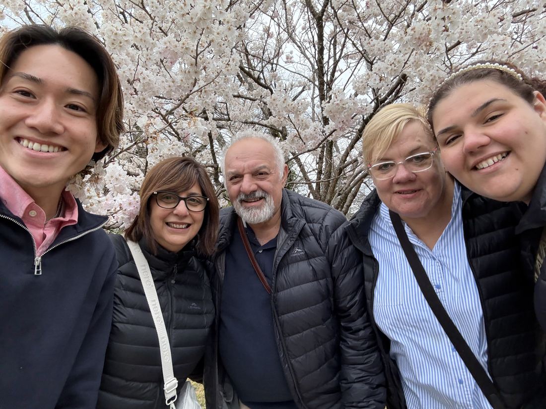 Guests among cherry blossoms