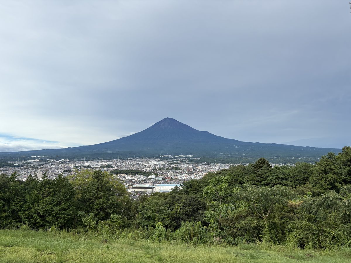 Highland Park Viewpoint
